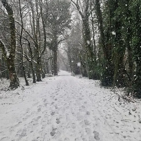 Oakdale, Templemore, E41f856 * تيمبليمور