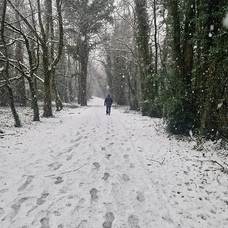 Oakdale, Templemore, E41f856