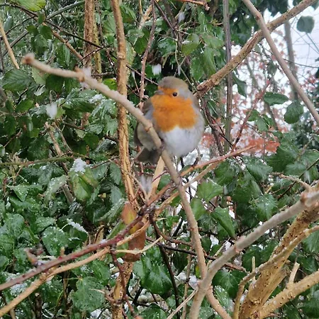 منزل للإقامة Oakdale, Templemore, E41f856