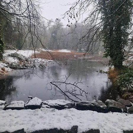 Oakdale, Templemore, E41f856 منزل للإقامة *