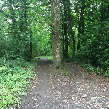 Oakdale, Templemore, E41f856 * تيمبليمور