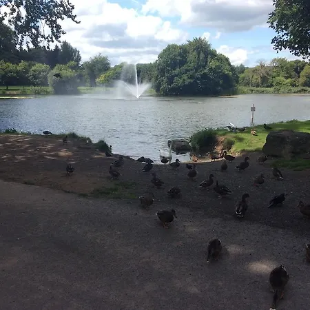 Oakdale, Templemore, E41f856 * تيمبليمور