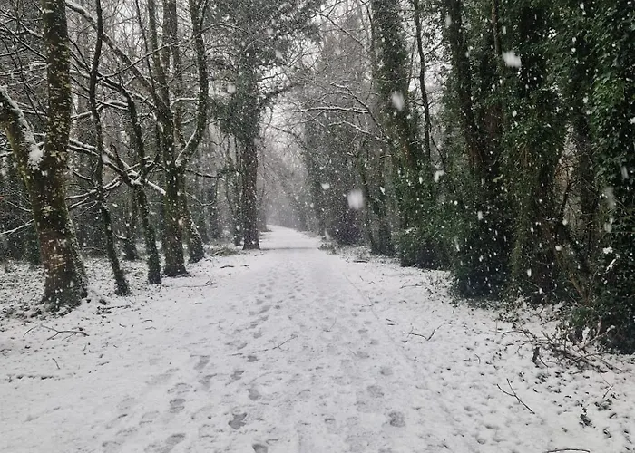 Oakdale, Templemore, E41f856 * Templemore