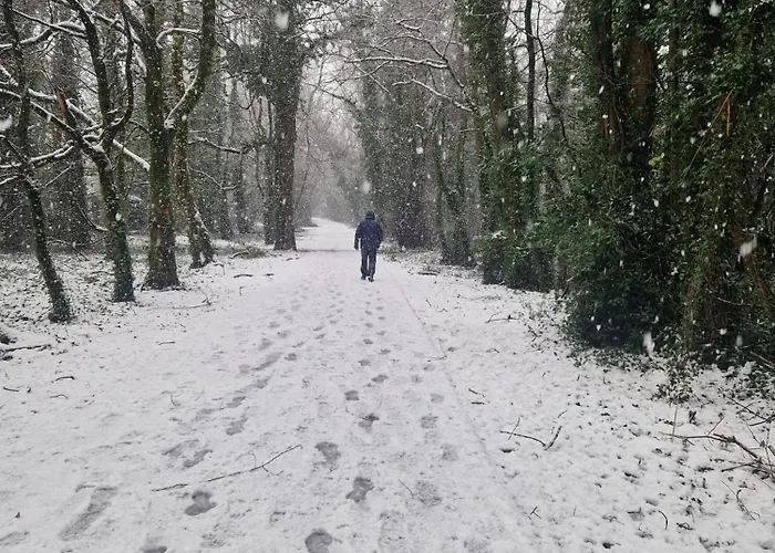 Oakdale, Templemore, E41f856