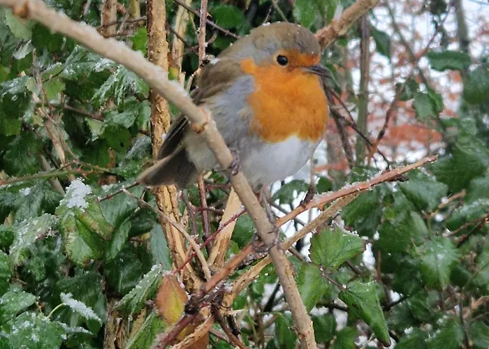 Oakdale, Templemore, E41f856 Ubytování v soukromí