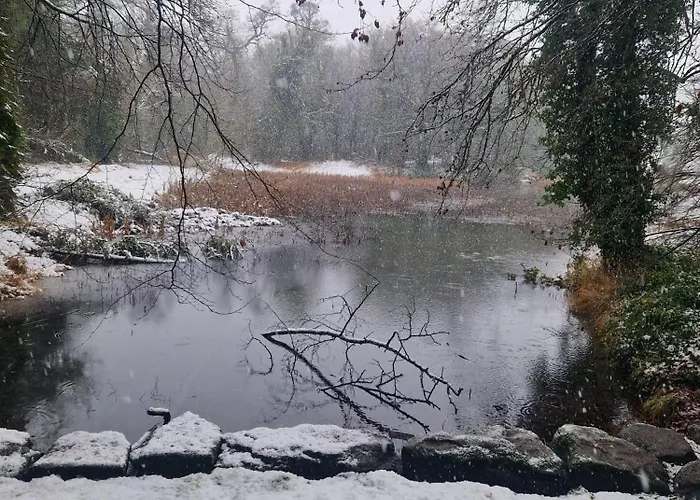 Oakdale, Templemore, E41f856 Homestay *