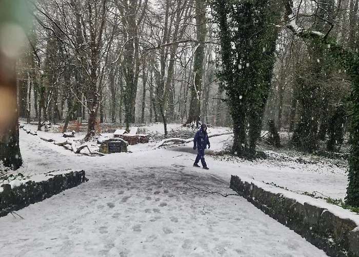 Quarto em Acomodações Particulares Oakdale, Templemore, E41f856 Templemore