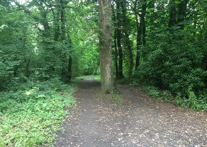 Oakdale, Templemore, E41f856 * Templemore