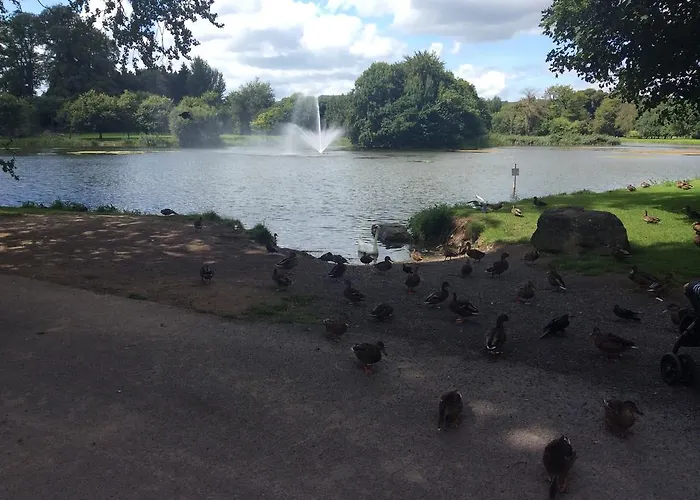 Oakdale, Templemore, E41f856 * Templemore